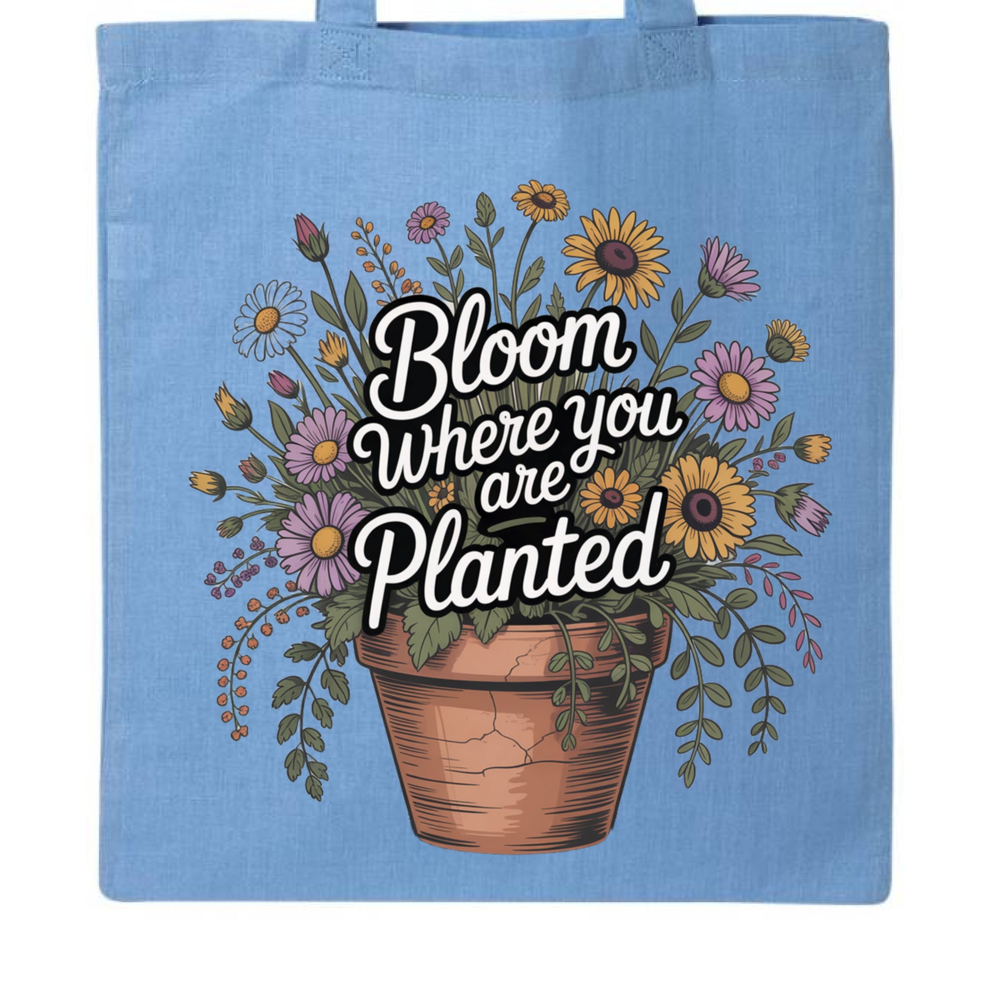 Carolina Blue - BACK